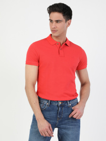 Поло Colin’s модель CLTKTMPTS0244260RSB Фото