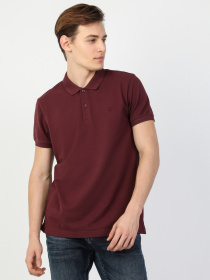 Поло Colin’s модель CLTKTTSHM0766200BRD Фото