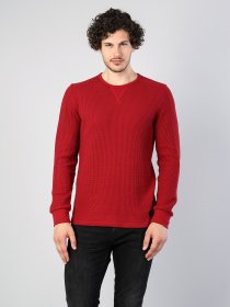 Реглан Colin’s модель CL1034857DPR Фото