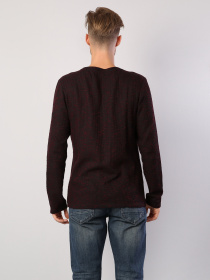 Реглан Colin’s модель CL1035373MLR Фото