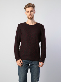 Реглан Colin’s модель CL1035373MLR Фото