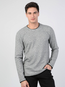 Реглан Colin’s модель CL1041788MGA Фото