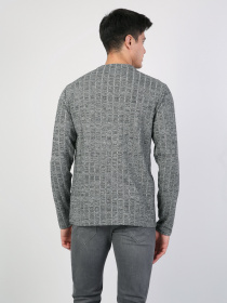 Реглан Colin’s модель CL1045518ANM Фото