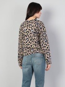 Реглан Colin’s модель CL1046142MTC Фото