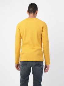 Реглан Colin’s модель CL1047198YLW Фото