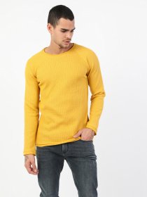 Реглан Colin’s модель CL1047198YLW Фото