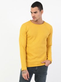 Реглан Colin’s модель CL1047198YLW Фото