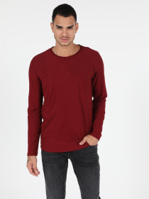 Реглан Colin’s модель CL1051133BRD Фото