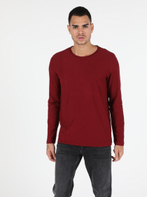 Реглан Colin’s модель CL1051133BRD Фото