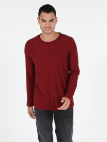 Реглан Colin’s модель CL1051133BRD Фото