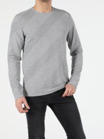 Реглан Colin’s модель CL1053232MGA Фото