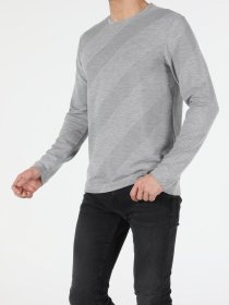 Реглан Colin’s модель CL1053232MGA Фото