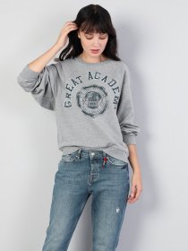 Худи Colin’s модель CL1044280MGA Фото