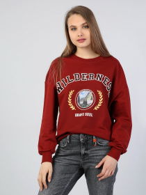 Худі Colin’s модель CL1044358BRD Фото