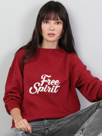 Худи Colin’s модель CL1045496BRD Фото