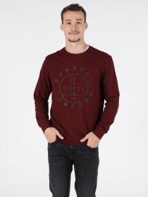 Свитшот Colin’s модель CL1050053BRD Фото