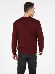 Світшот Colin’s модель CL1050053BRD Фото