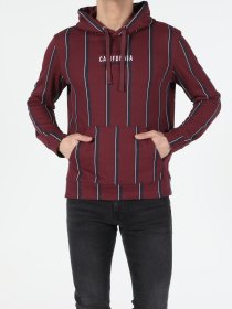 Худи Colin’s модель CL1050137BRD Фото