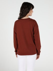 Худи Colin’s модель CL1050455BRW Фото