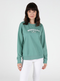 Худи Colin’s модель CL1051010MNT Фото