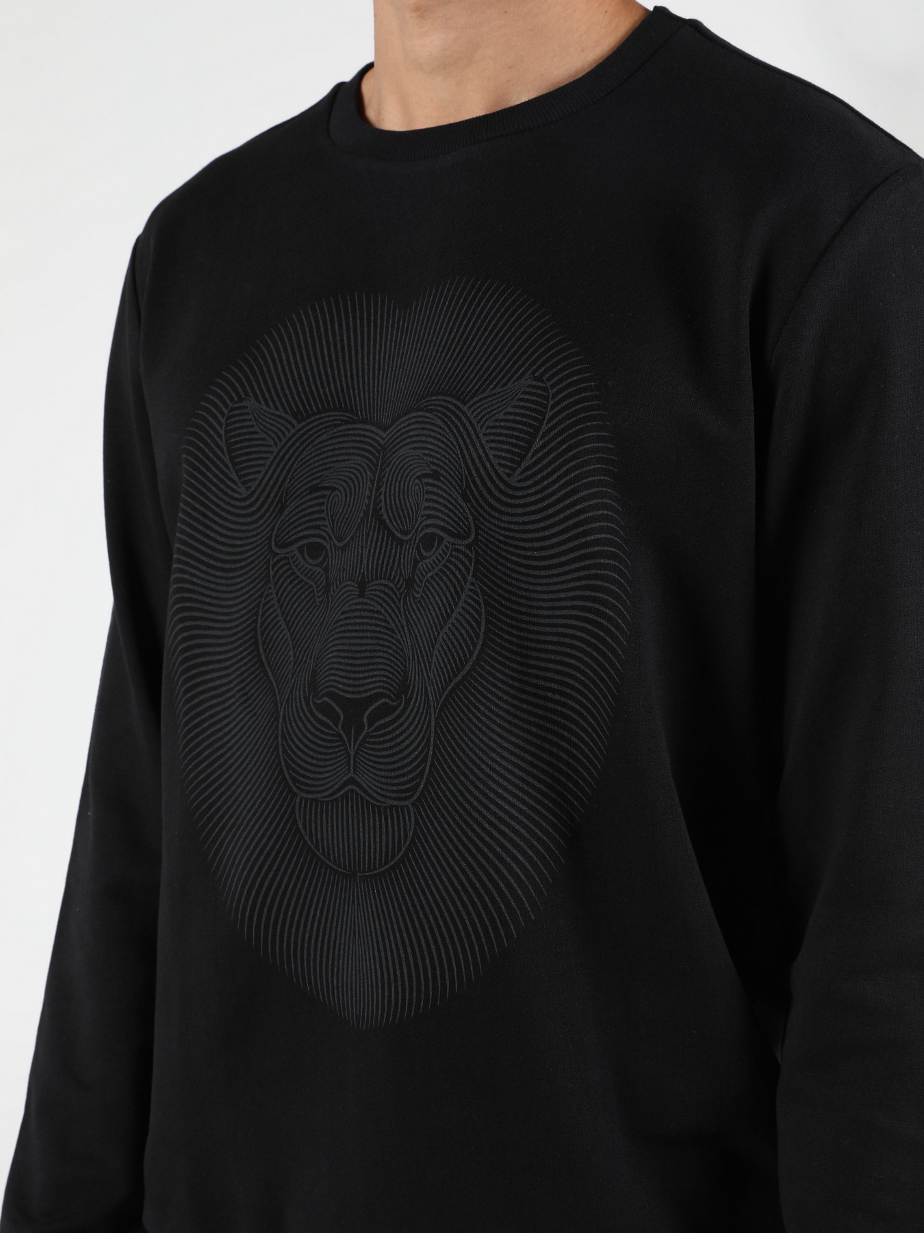 Свитшот Colin’s модель CL1051127BLK Фото