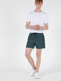 Шорти для плавання Colin’s модель CL1049628MGR Фото