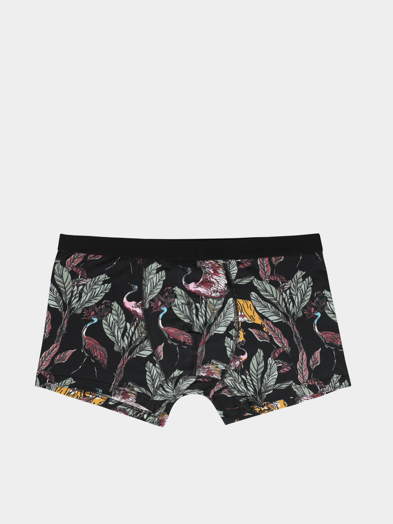 Трусы Colin’s модель CL1050647MTC Фото