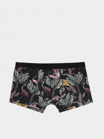 Трусы Colin’s модель CL1050647MTC Фото