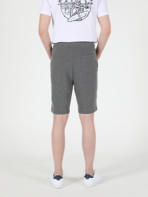 Шорты Colin’s модель CL1049501MGA Фото