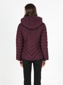 Зимняя куртка Colin’s модель CL1050795BRD Фото