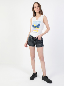 Повседневные шорты Colin’s модель CL1049707DN04057 Фото