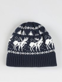 Шапка Colin’s модель CL1051849NAV Фото