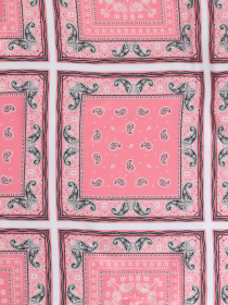 Платок Colin’s модель CL1048070PIN Фото