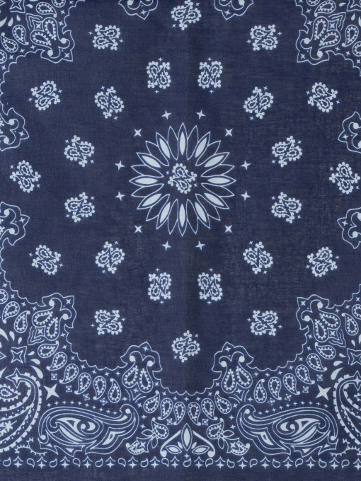 Шарф Colin’s модель CL1025288NAV Фото