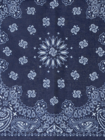 Шарф Colin’s модель CL1025288NAV Фото