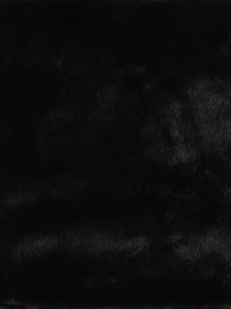 Хомут Colin’s модель CL1036848BLK Фото