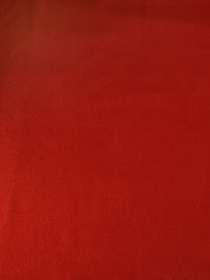 Шарф Colin’s модель CL1051896RED Фото