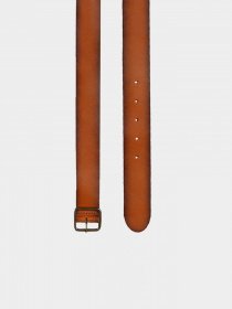 Ремни Colin’s модель CL1026672BRW Фото