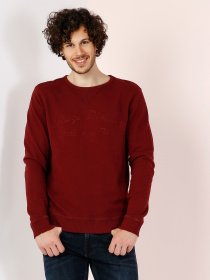 Світшот Colin’s модель CL1032095BRD Фото