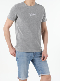 Футболки і поло Colin’s модель CL1052333MGA Фото