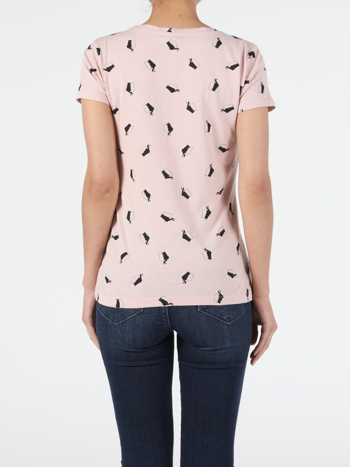 Футболка Colin’s модель CL1053319PLI Фото