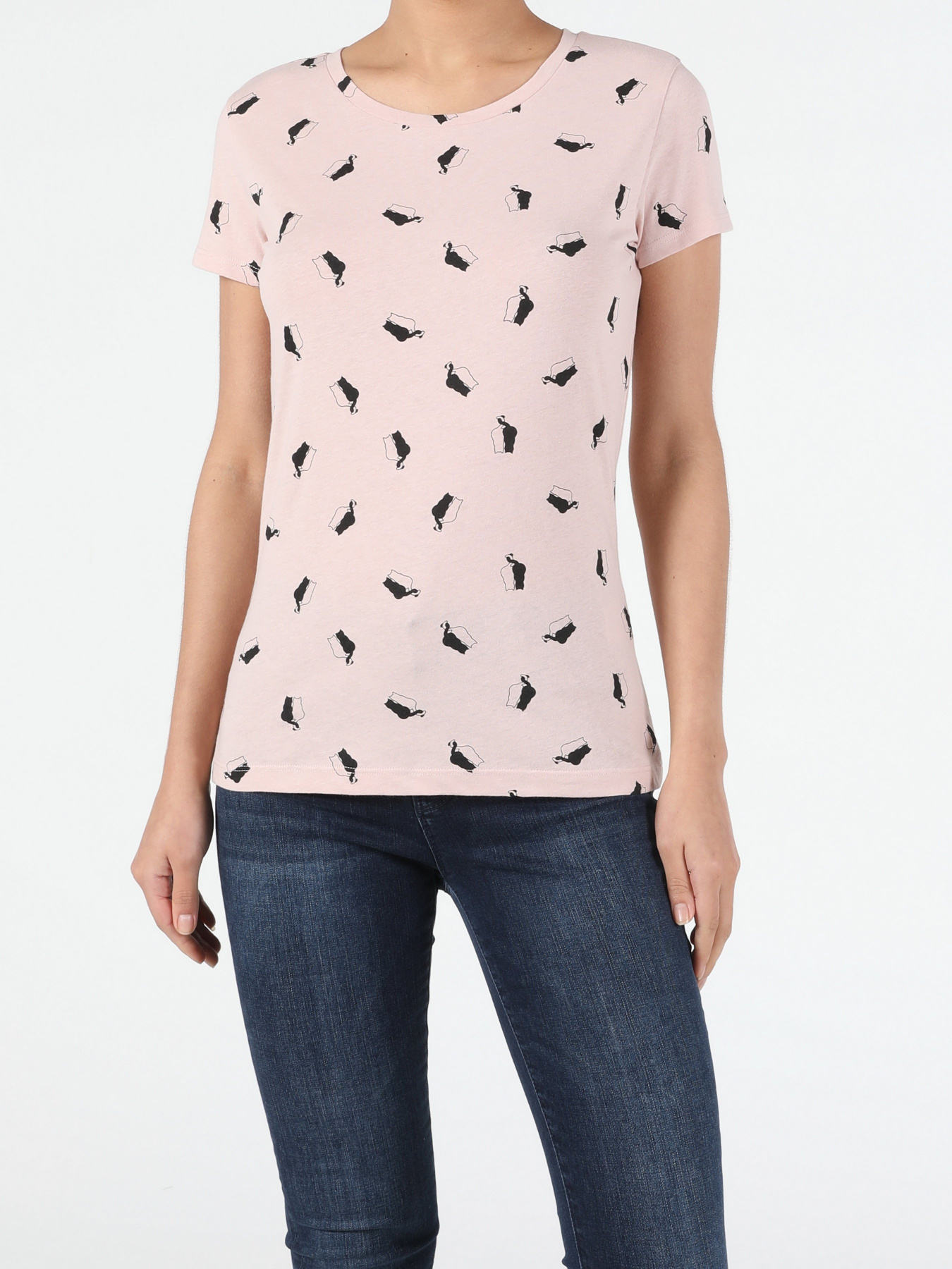 Футболка Colin’s модель CL1053319PLI Фото