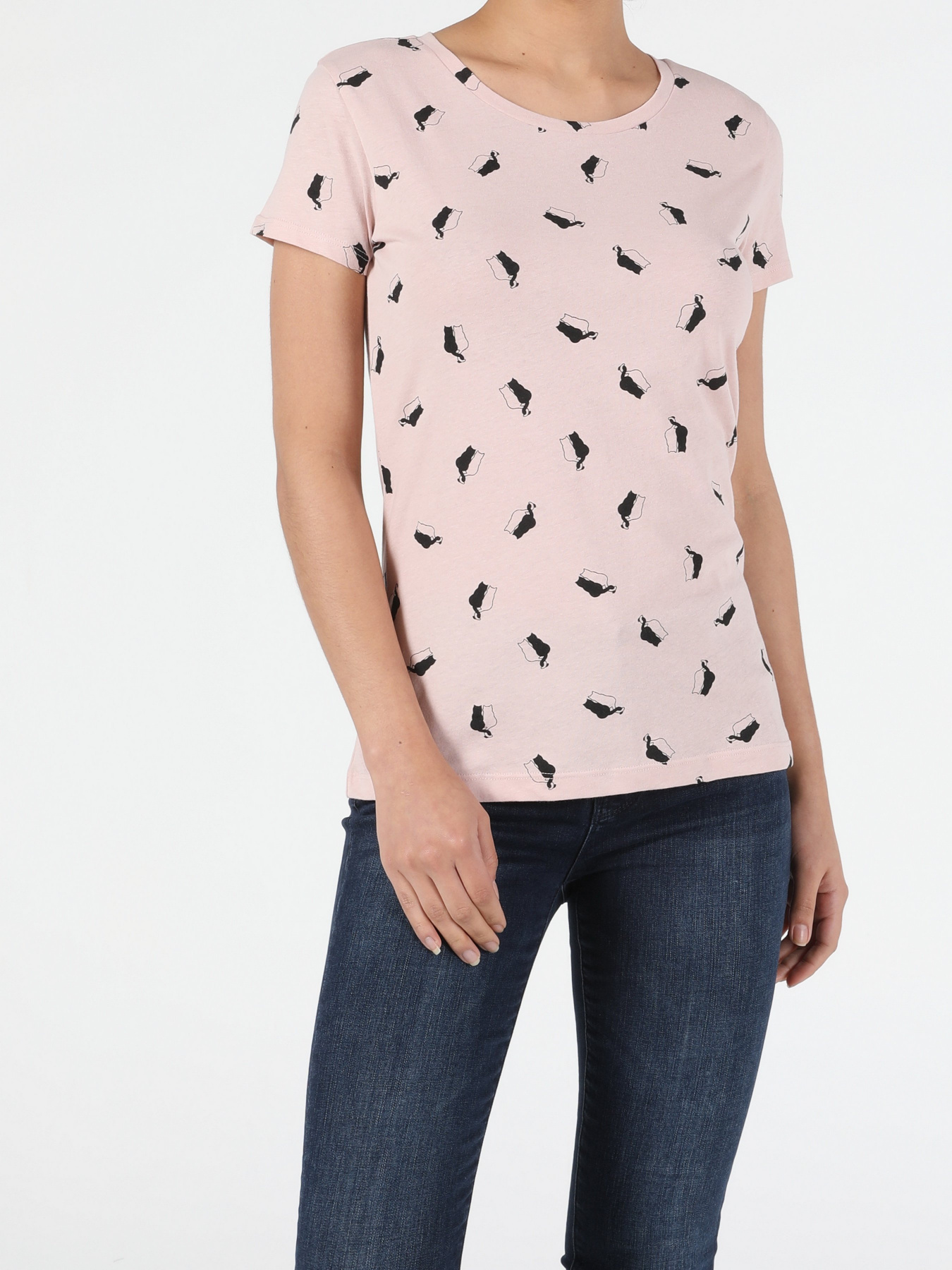 Футболка Colin’s модель CL1053319PLI Фото