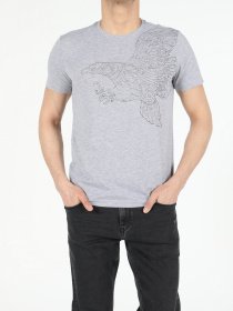 Футболки и поло Colin’s модель CL1053941MGA Фото