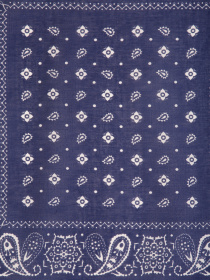 Шарф Colin’s модель CL1027038NAV Фото