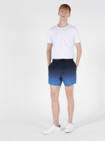 Шорты для плавания Colin’s модель CL1049393NAV Фото