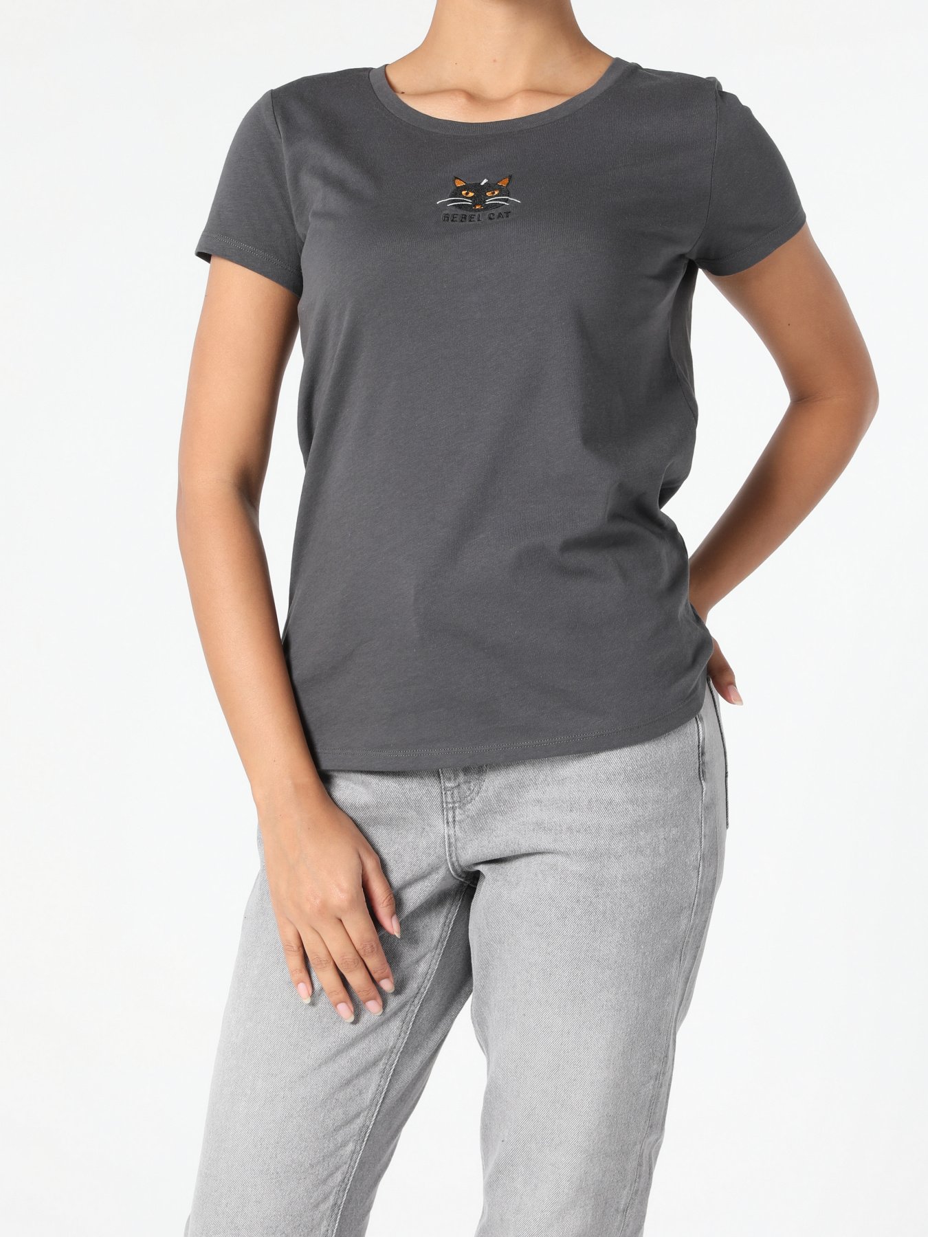 Футболки і поло Colin’s модель CL1052431ANT Фото