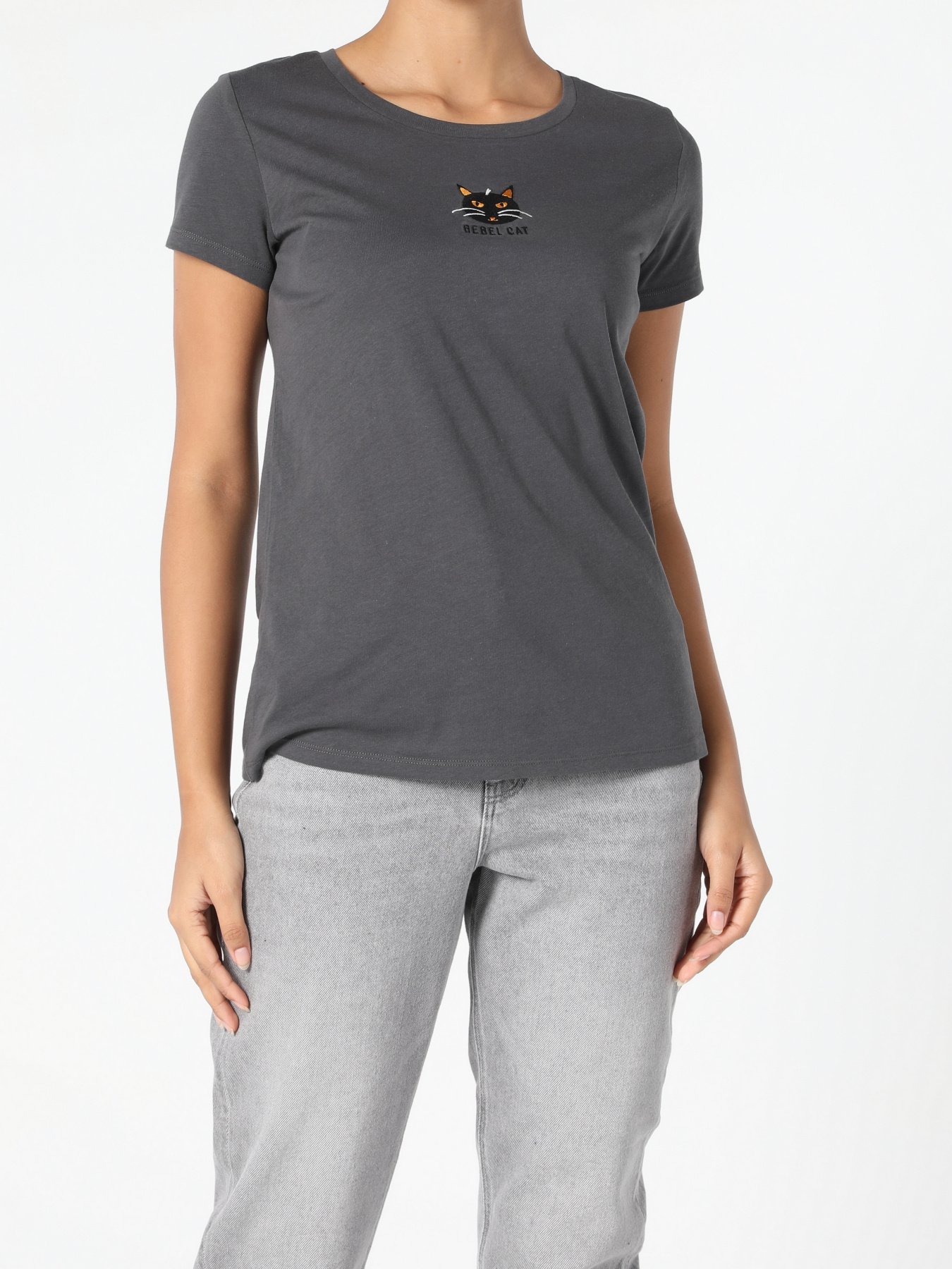 Футболки і поло Colin’s модель CL1052431ANT Фото