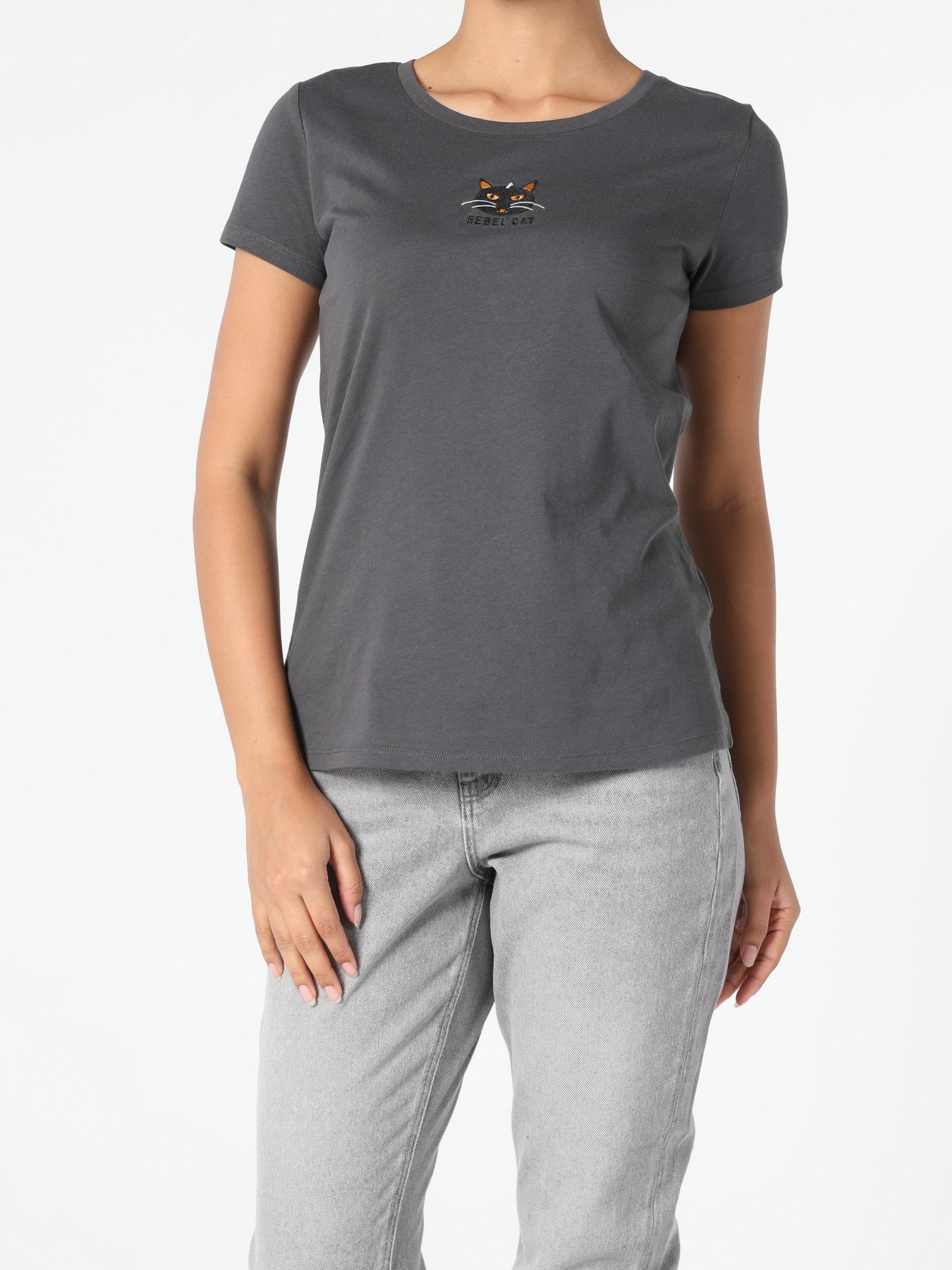 Футболки і поло Colin’s модель CL1052431ANT Фото