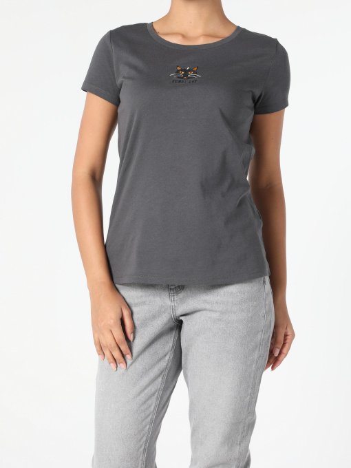 Футболки и поло Colin’s модель CL1052431ANT Фото